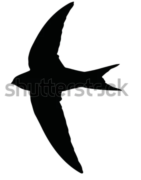 CENTRE ESCOLAR EMPORDÀ