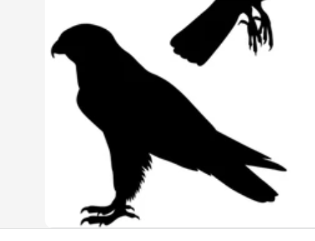 CENTRE ESCOLAR EMPORDÀ