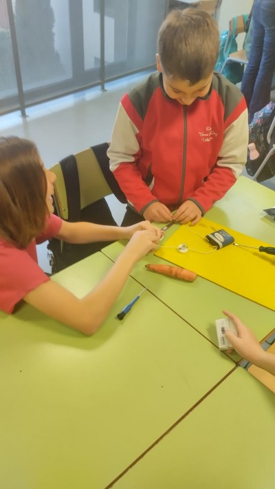 Fem ballar la brúixola