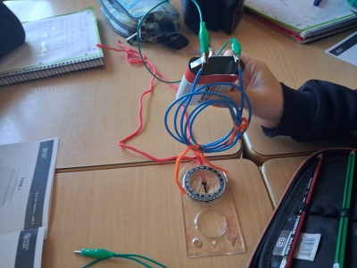 L'agulla esbojarrada